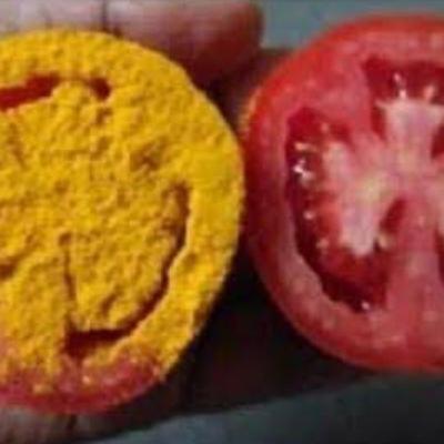 Tomate e cúrcuma, artigo.