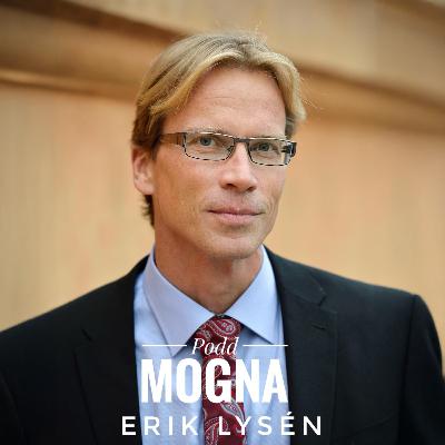 Blott i det öppna ligger din möjlighet - Erik Lysén