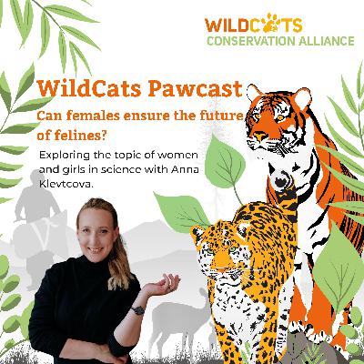 Can females ensure the future of felines?