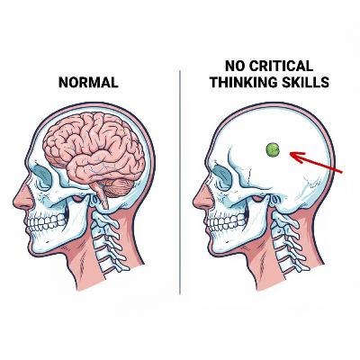 Critical Thinking Skills Deficit Prevents Some People from Accepting the ET/NHI Reality