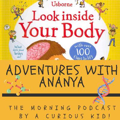 Episode 3 - Adventures with Ananya! The one where A reads from Usborne's life-the-flap book about how the body digests food!
