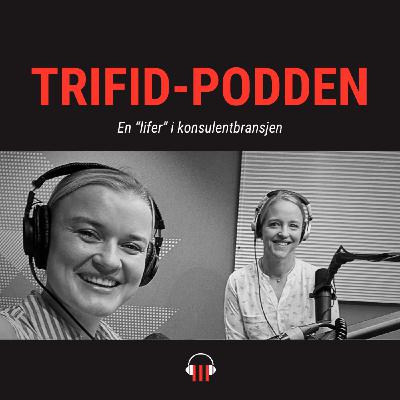 #8 En "lifer" i konsulentbransjen