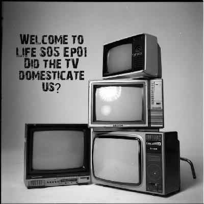Did the TV domesticate us?