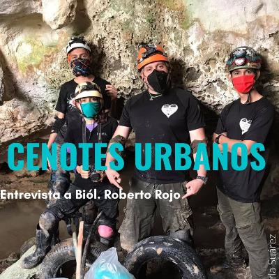 Cenotes Urbanos