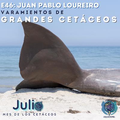 E46: Juan Pablo Loureiro. Varamientos de Grandes Cetáceos E46: Juan Pablo Loureiro. Varamientos de Grandes Cetáceos
