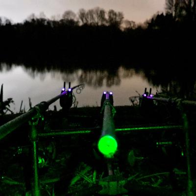 Lily Lake 017 / Carp Fishing / E180