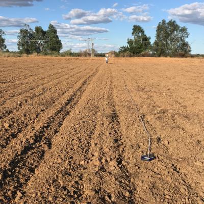 Dúvida sobre irrigação e fertirrigação em solo arenoso