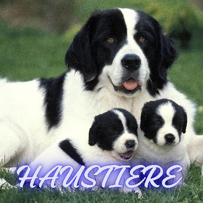 Hunde