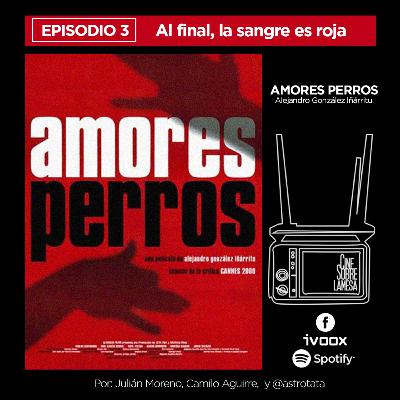 AMORES PERROS: Al final, la sangre es roja