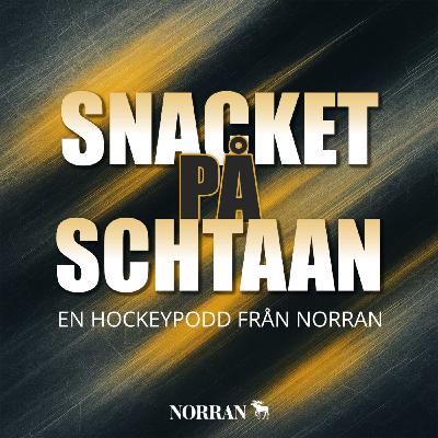 Strutsbeteende av Skellefteå AIK