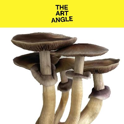 An Artist's Guide to Psychedelic Mushrooms An Artist's Guide to Psychedelic Mushrooms