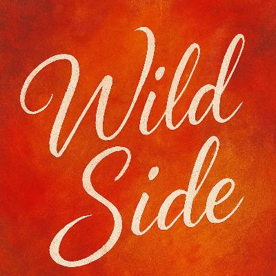 Wild Side by Elsie Silver – The Single Dad Romance That’s Taking Over BookTok! 🎧 Wild Side by Elsie Silver – The Single Dad Romance That’s Taking Over BookTok! 🎧