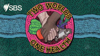 Walking Together: How Yolŋu and researchers are changing health stories together Walking Together: How Yolŋu and researchers are changing health stories together