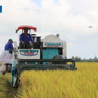 Tiêu điểm - Minh bạch quy trình trong Đề án 1 triệu ha - Nâng tầm hạt gạo Việt