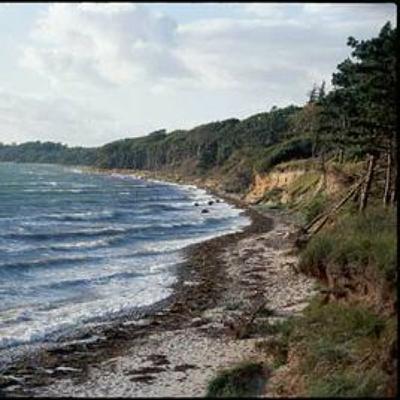 Fortællinger fra graven - Bjørn