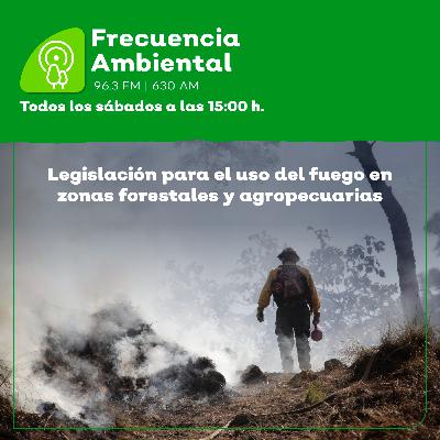 Episodio 202. Legislación para el uso del fuego en zonas forestales y agropecuarias