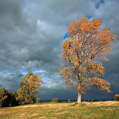 Warum weht der Wind überwiegend aus Westen?