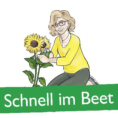 Schnell im Beet - Kübelpflanzen im Winter