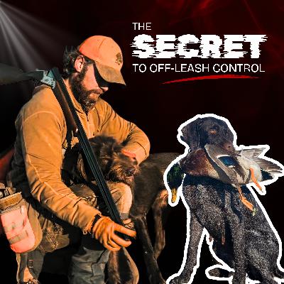 Ep. 45 - Training to a Standard, Not Trophies | Hunting Dog & Obedience Truths Ep. 45 - Training to a Standard, Not Trophies | Hunting Dog & Obedience Truths