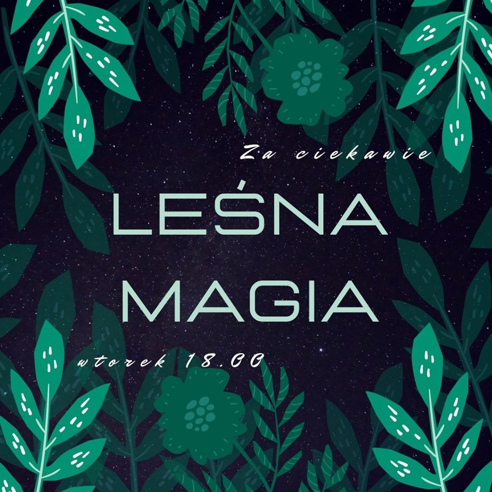 Za ciekawie – Leśna magia episode artwork