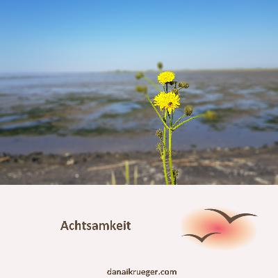 #18 Achtsamkeit