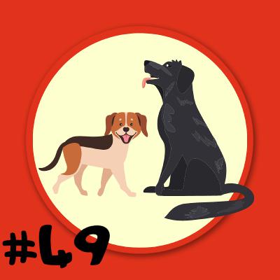 Folge 49 - Bernd Schäferhund und Trixie Dackel - Weiss und kalt