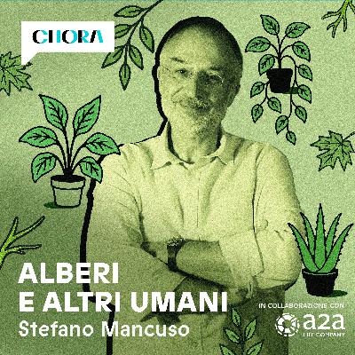 Ascolta "Alberi e altri umani": il nuovo podcast di Stefano Mancuso