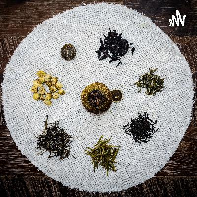 读书札记（231）—大清乾隆皇帝狠狠收拾战场上逃生回来的大小官员们；大清朝最喜欢搞“气节教育”；但是，爱新觉罗皇族在清朝覆灭之际的表现反而不如明朝末年朱元璋的后代们