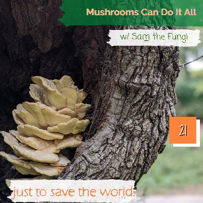 Mushrooms Can Do It All