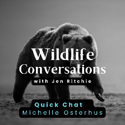 WC Quick Chat w/Michelle Osterhus & a Big Announcement WC Quick Chat w/Michelle Osterhus & a Big Announcement