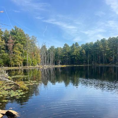 Episode 1469 - Jo’s Place Episode 1469 - Jo’s Place