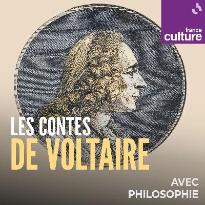 Les Contes de Voltaire : Zadig et la question du mal