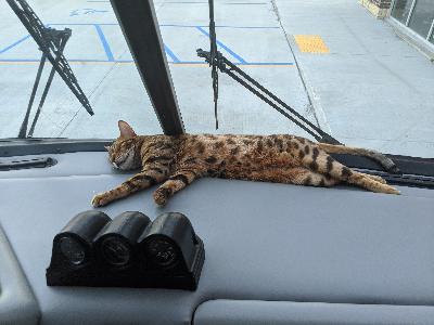 Day 457. August 05, 2020. Fargo North Dakota