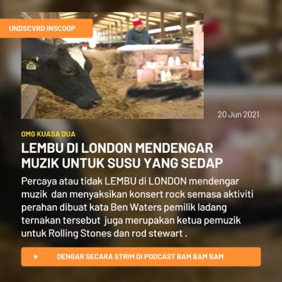 UNDSCVRD INSCOOP : BILA LEMBU DI KOTA LONDON LAYAN MUZIK DAN KONSERT UNTUK SUSU YANG SEDAP? UNDSCVRD INSCOOP : BILA LEMBU DI KOTA LONDON LAYAN MUZIK DAN KONSERT UNTUK SUSU YANG SEDAP?