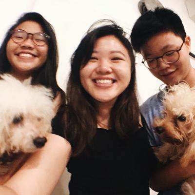 pilot - sibling tag! pilot - sibling tag!