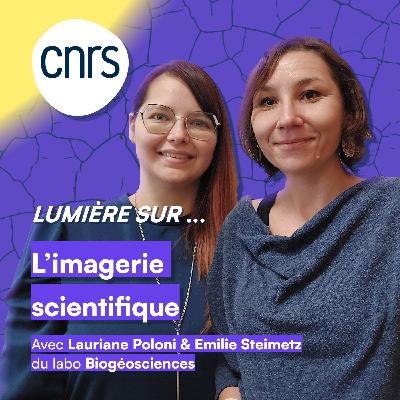 Lumière sur... L'Imagerie Scientifique