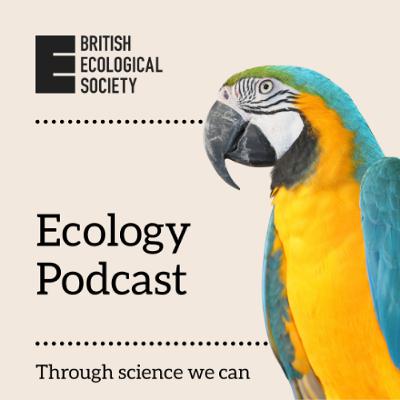 Los Pingüinos y sus Respuestas Fenológicas al Cambio Climático | La Historia Detrás del Artículo Los Pingüinos y sus Respuestas Fenológicas al Cambio Climático | La Historia Detrás del Artículo