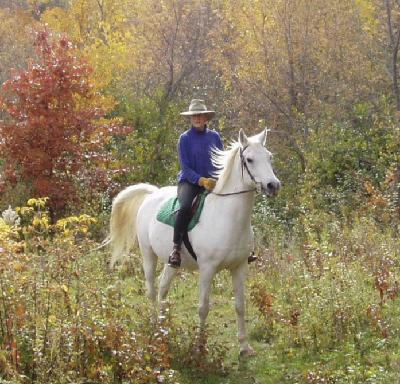 SE541 Stories and tales of women who love horses with Karin Winegar