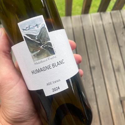 #2 / 1368 - Humagne Blanc: A rare white grape variety from Switzerland