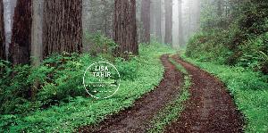 Lisa Tahir interviews Tulane Professor about Medieval Women Healers