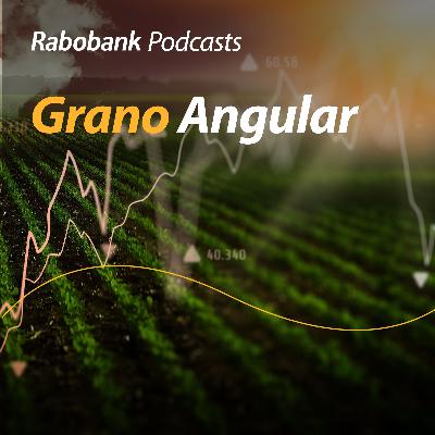 PACIC, aranceles-cupo y expectativas económicas