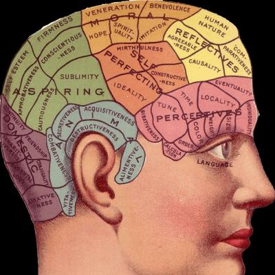 மனதில் எதை விதைத்தோமோ அதன் பலன் எண்ணங்களினால் நடைபெறும்