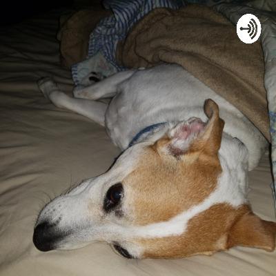 The Puppy Song (Trailer)