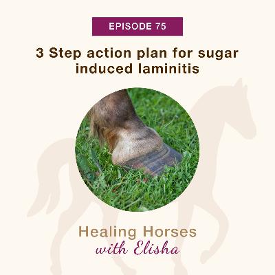 75: 3-Step Action Plan for Sugar-induced Laminitis