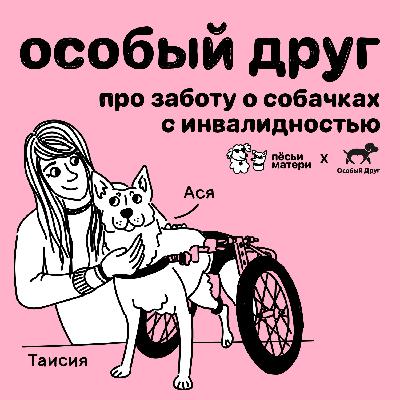 Особый друг. Про заботу о собачках с инвалидностью