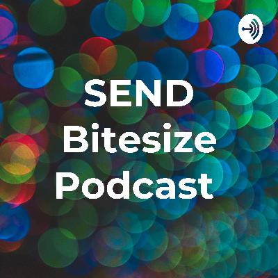 The SEND Bitesize Podcast :All about Reading