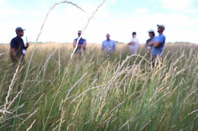 Ear to the Ground 367: Disrupting the Food Chain