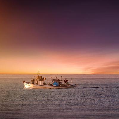 Pesca