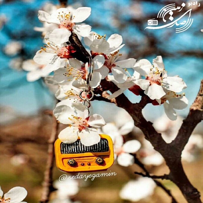 رادیو صدای زمین