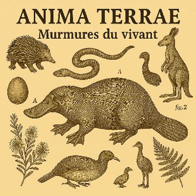 L'ornithorynque: chimère de la nature